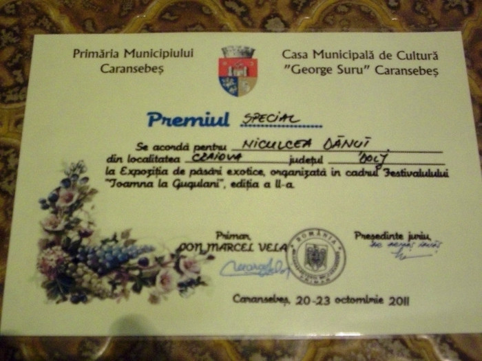 expo Caransebes diplome 004