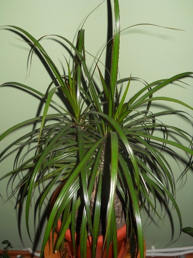 ...s-au mai imbogatit