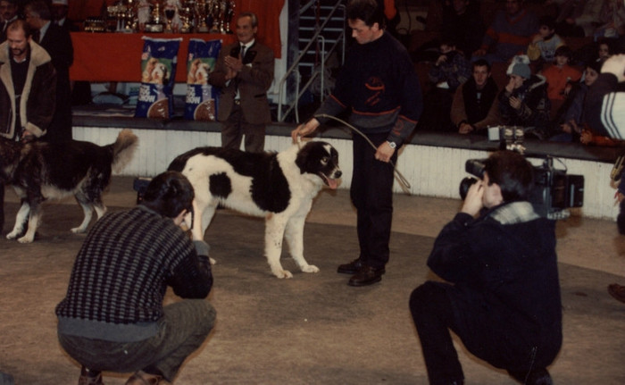 FINALS OF THE NATIONAL CHAMPIONSHIP 1998 CARPATIN OPEN CLASS MALES