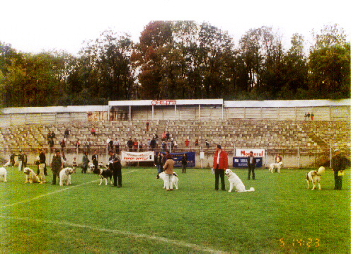 INTERNATIONAL CHAMPIONSHIP 2002 BARLAD - organizate de CNCCR