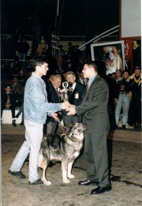 FINALS OF THE FIRST NATIONAL CHAMPIONSHIP 1998 BUCHAREST CARPATIN OPNE CLASS FEMALE EXC 1 CAC - organizate de CNCCR