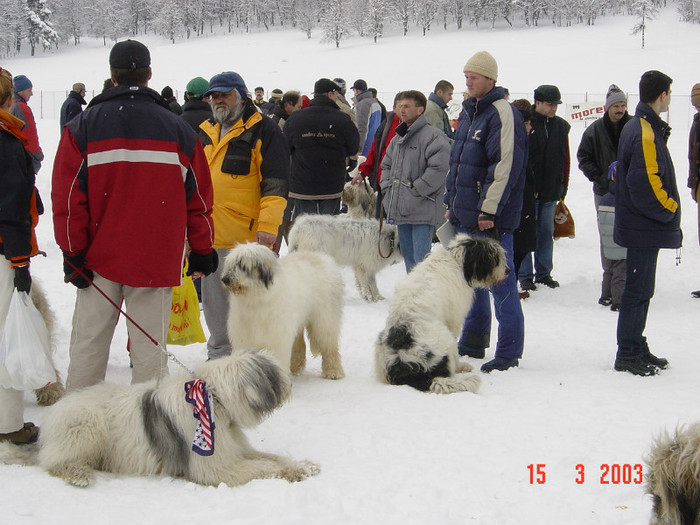 INTERNATIONAL CHAMPIONSHIP 2002 FINALS 2 - organizate de CNCCR