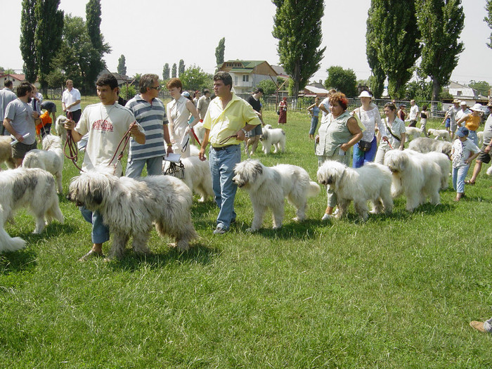 INTERNATIONAL CHAMPIONSHIP 2003 FIRST STAGE BUCHAREST - organizate de CNCCR