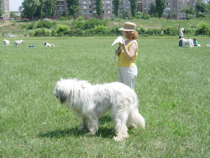 INTERNATIONAL CHAMPIONSHIP 2003 BUCHAREST OPEN CLASS MIORITIC MALE MARCHIZ DE VALCU - organizate de CNCCR