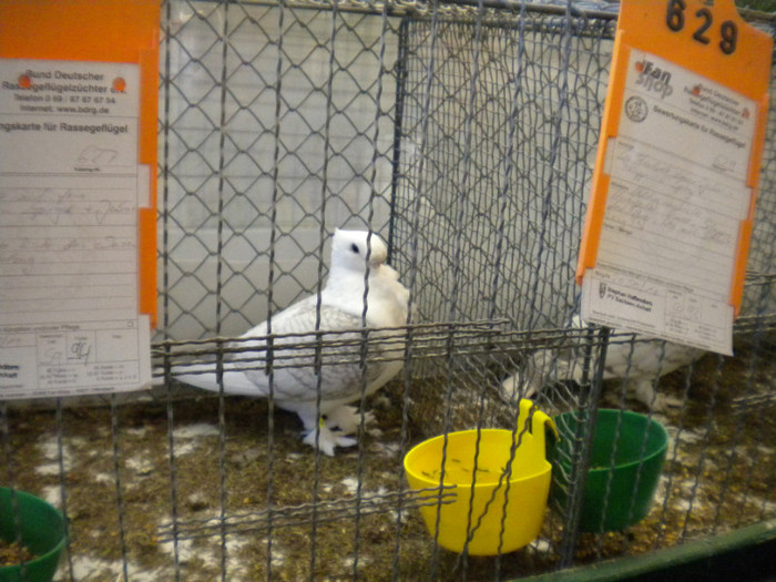 Picture 075