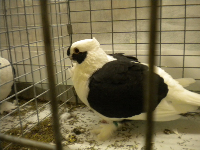 Picture 077