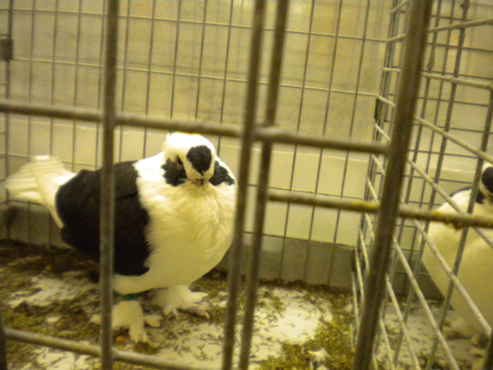 Picture 079