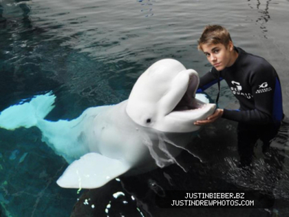 normal_392413644 - justin bieber 2