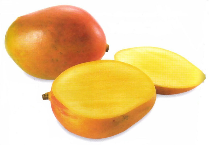mango - fructele tale preferate 1