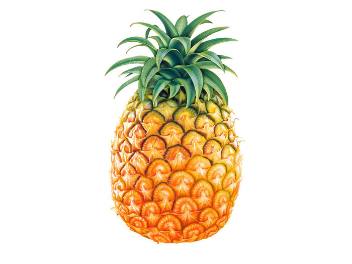 ananas - fructele tale preferate 4