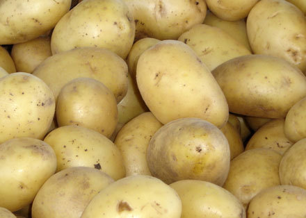 cartofi - legumele tale preferate 3
