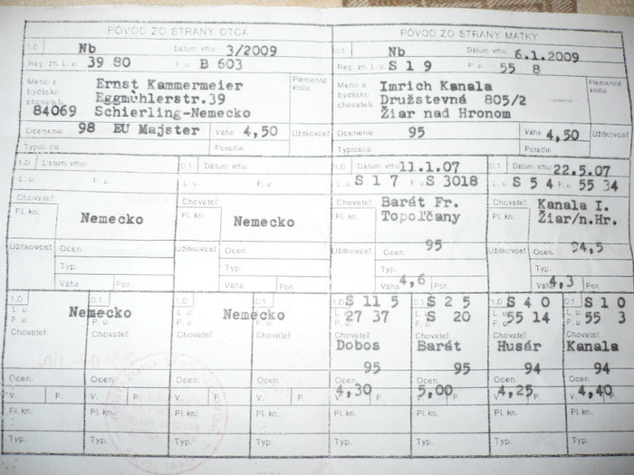 P1080970 - O SLOVACA CU PEDIGREE