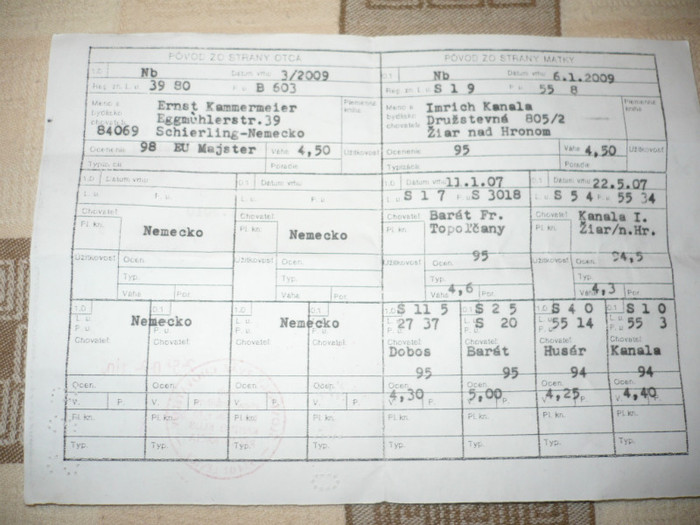 P1080964 - O SLOVACA CU PEDIGREE