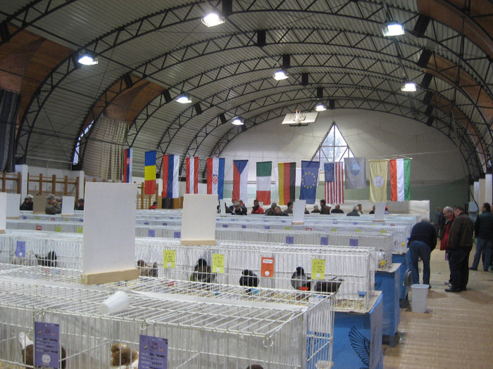IMG_4048 - Expo Solt Ungaria 2011