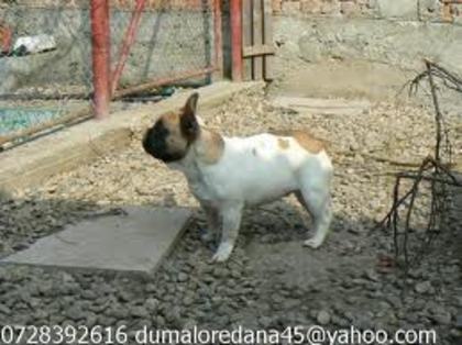 images (24)