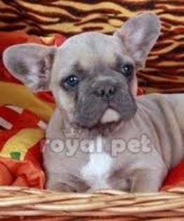 images (82)