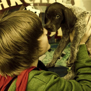 13968270_PPXQYNTOO - justin bieber