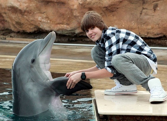 fwew4ert - justin bieber