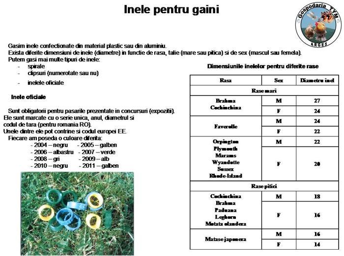 tablou cu inele pt. gaini