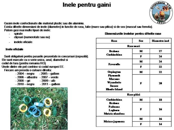 tablou cu inele pt. gaini