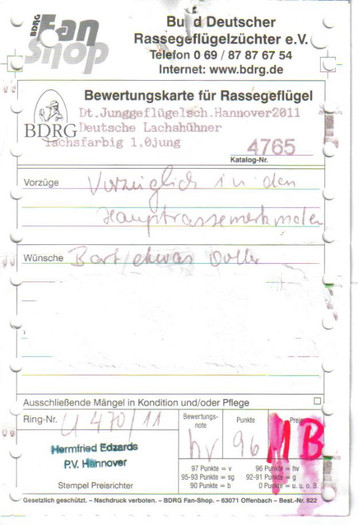 Cocos 2011 Hannover (Germania)