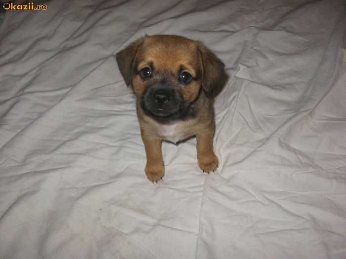 248249593-31771-700_700