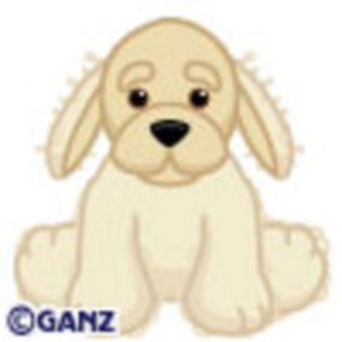 American Golden - Webkinz