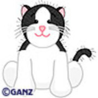 Black and white Cat - Webkinz