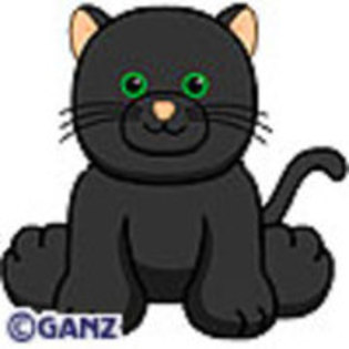 Black Cat - Webkinz