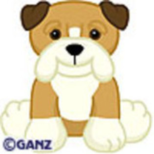 Bulldog - Webkinz