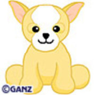 Chihuahua - Webkinz