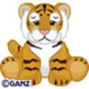 Endangered Bengal Tiger - Webkinz