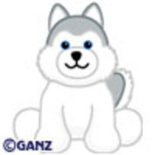 Husky - Webkinz