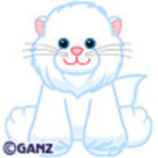 Persian Cat - Webkinz