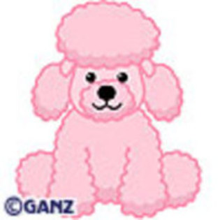 Pink Poodle - Webkinz