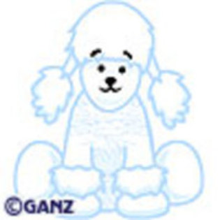 White Poodle - Webkinz