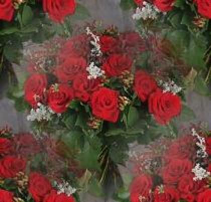 nature_401 - poze flori