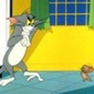 tom-and-jerry-852162l-thumbnail_gallery - Tom si Jerry and Kid vs Kat