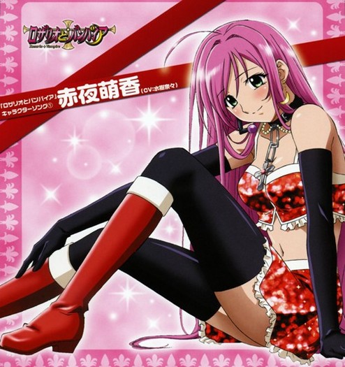 24915254 - Rosario to Vampire