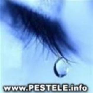 30191579_GJMQRZKFS - poze triste