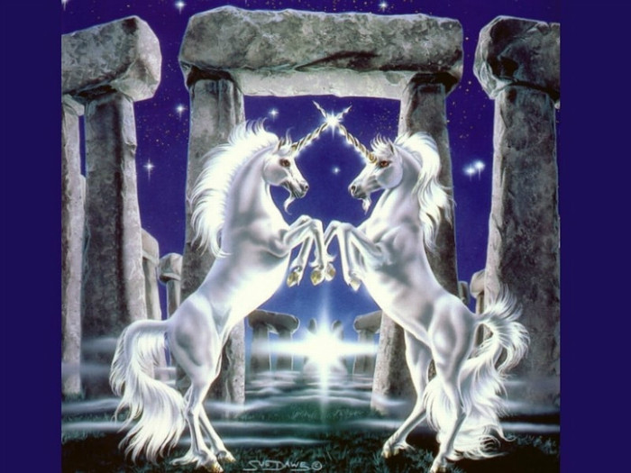 Unicorn-Wallpaper-unicorns-6028511-1024-768 - Poze pentu desktop
