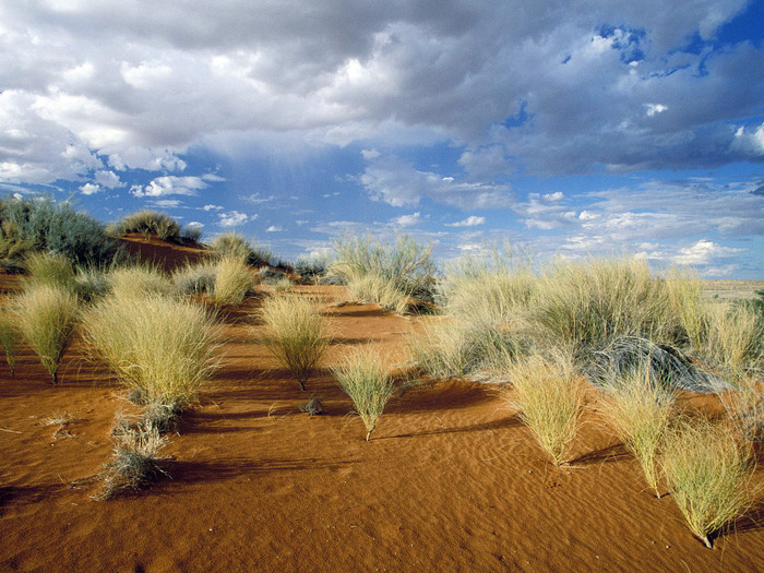 2-2-Kgalagadi_Transfrontier_Park_South_Africa - Africa