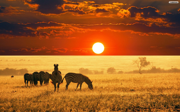 africa_sunset_wallpaper_74171 - Africa