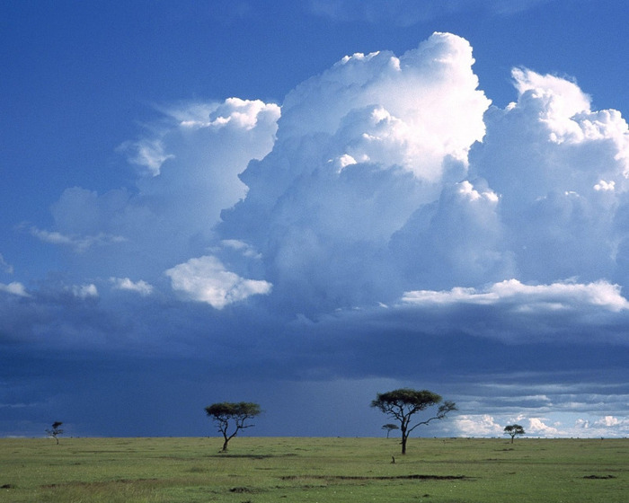 storm-over-savannah-wallpapers_11453_1280x1024 - Africa