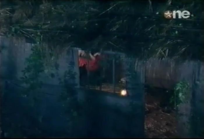 1 (161) - DILL MILL GAYYE KaSh As AR Jungle Staring Caps