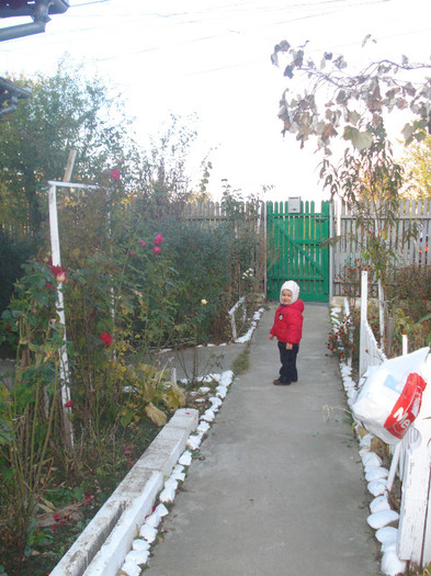 DSC06803