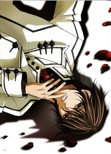 33ed8810bfdef160cb80c468 - Vampire Knight