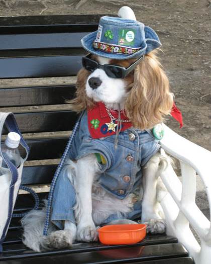 caini_costumati_haios_13 - Caini costumati haios