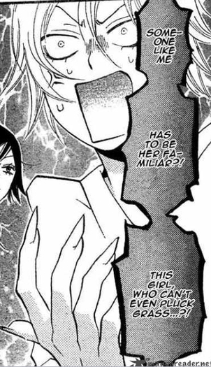 Tomoe 13 - Manga care imi place