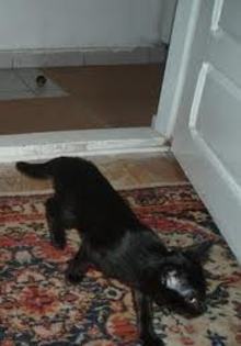 images (4)